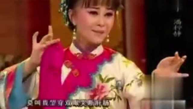 “黄梅仙子”潘柠静《小辞店》来来来 选段!