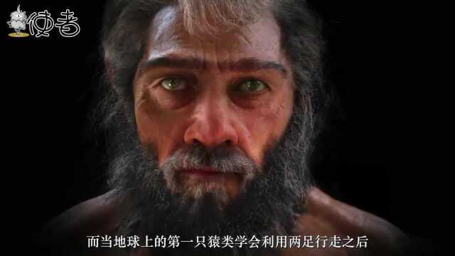 人类在不断进化,1000年后长什么样?科学家的结果无人接受