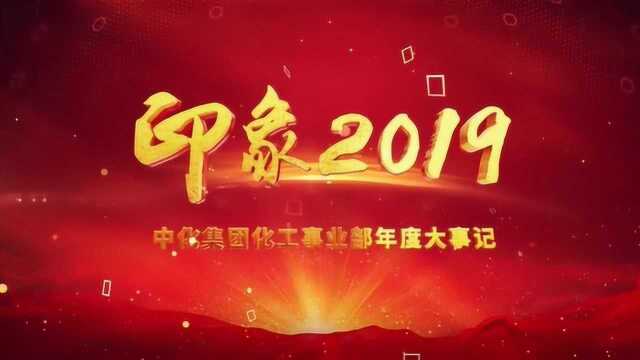 中化集团化工事业部《印象2019》