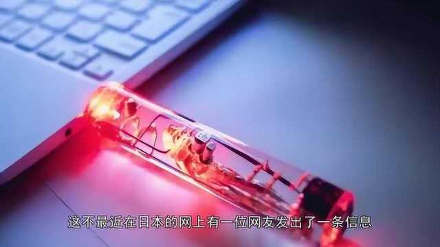 日本研发出“鱼脑U盘”,内容可以达到32GB,真的那么厉害吗?