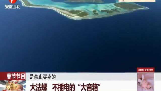 大自然的鬼斧神工 网红音响“大法螺”不用电就能营造出剧院的感觉