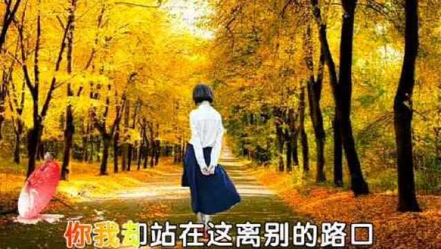 还是很怀念那个离别的秋天