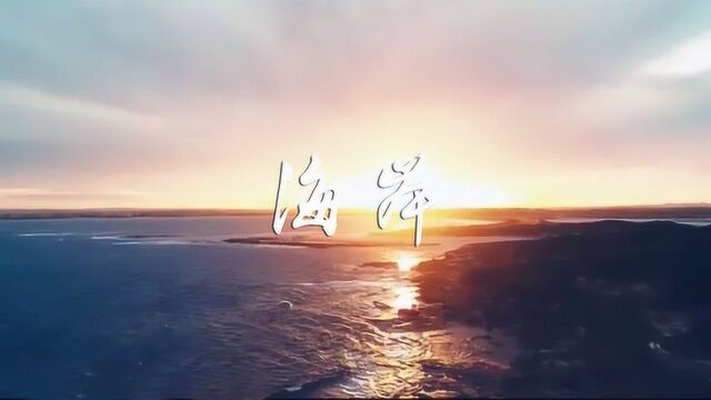 一曲《海岸》美妙旋律,动人心扉