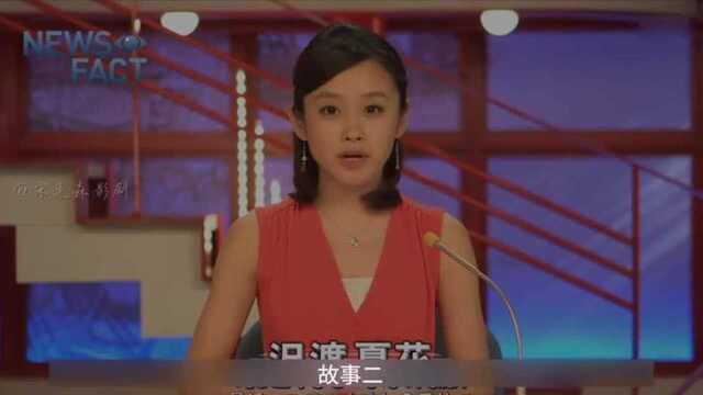 《呪报2405》日本人吃饱了真可怕,探险灵异之地,团灭