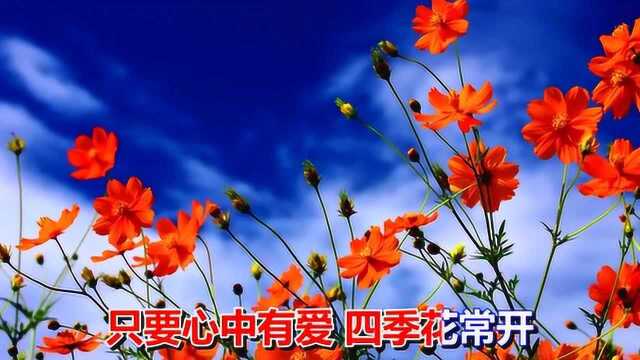 一首情歌《蝴蝶吻》