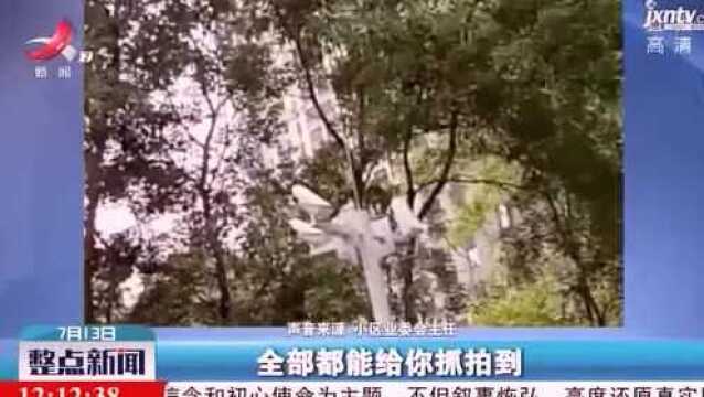 合肥:为防高空抛物,小区安装127个摄像头