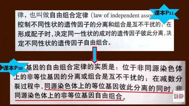 0219003高三理科生物基因自由组合定律的变式应用