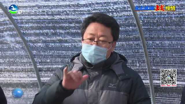 县长赵甲宏检查八渡镇复工复产工作