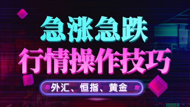 恒生指数交易学习 恒指期货交易战法 星雅龙工作室