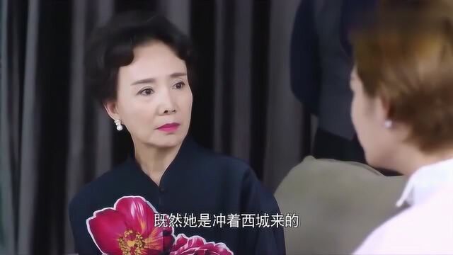 总裁甜妻:孙媳妇受伤,老太太查出罪魁祸首,亲自出手替孙媳出气