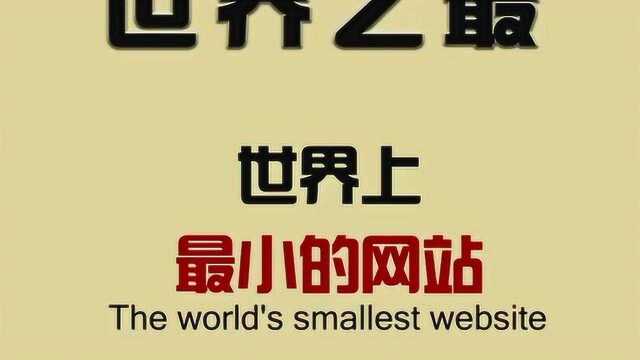 世界上最小的网站!你知道是哪一个吗?快来了解一下吧.