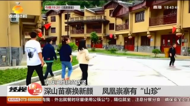 凤凰崇寨有“珍宝”:稻花鱼 生态鸡 深山苗寨焕然一新