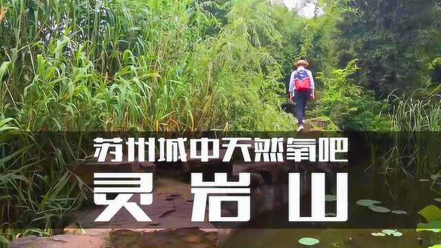 旅行VLOG 怪石嶙峋的灵岩山 苏州城中的天然氧吧