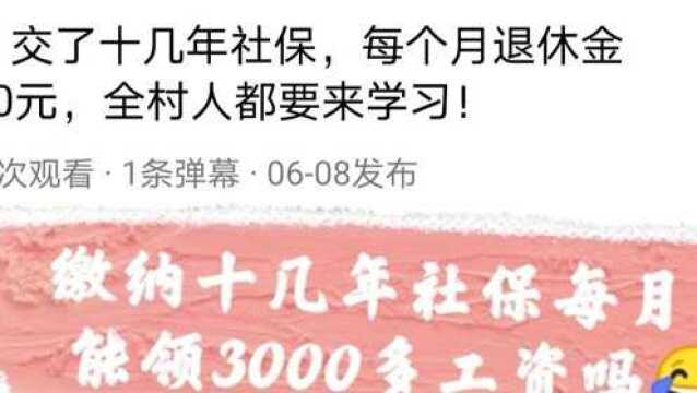 缴纳十几年社保,退休每月能领多少钱?自媒体就可以胡说八道吗?