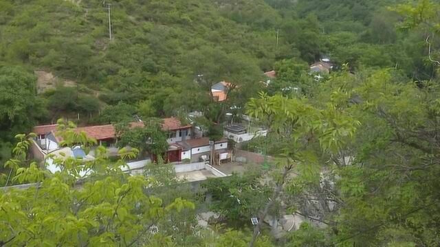 涿鹿县南将石村:小核桃闯出大市场