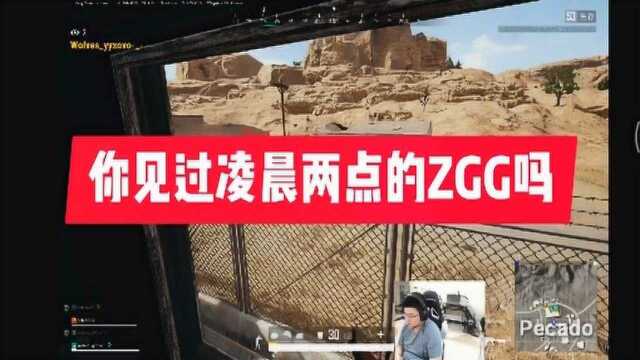 你见过凌晨两点的ZGG吗?让韦神直呼有挂