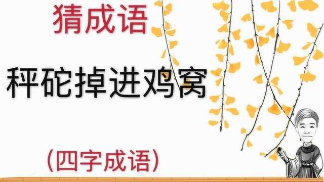 趣味学猜成语:秤砣掉进鸡窝,四字成语,快来猜猜是什么