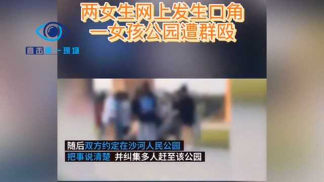 邢台女生公园内遭多人围殴,警方已介入调查