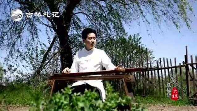 古琴曲《太极》王先宏:滋养心扉,感悟仙机