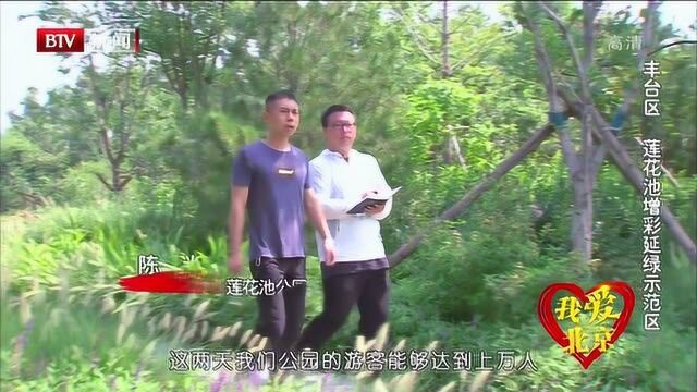 我爱北京:丰台区——莲花池增彩延绿示范区