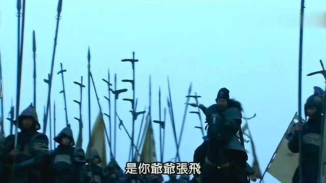 世人皆知此人乃三国第一猛将,文武双全