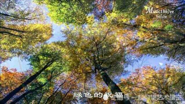 田震《好大一棵树》,配图音乐欣赏