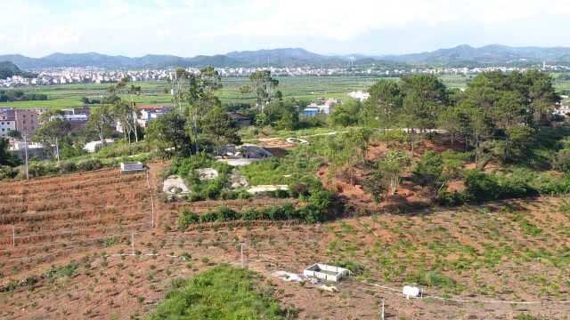 带大家来看一块风水宝地吴氏祖山庆才永光合葬地形下水鳖旺人丁