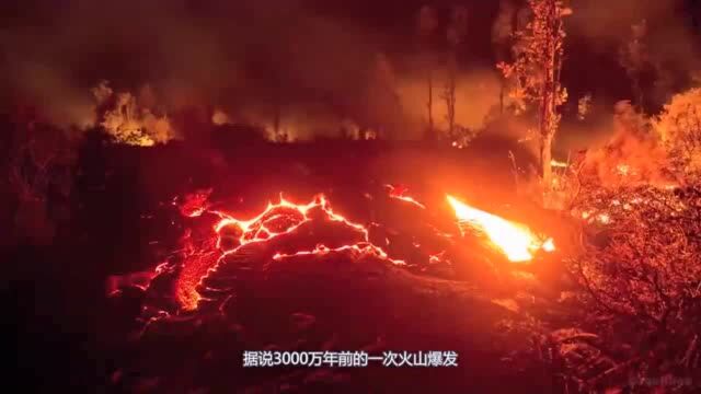 最迷人也最危险:地下的水晶宫殿,每滴水中蕴含无数病毒