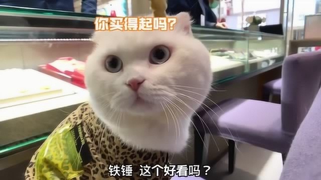 今天给翠翠和铁柱买了定情信物~猜猜明天又干嘛?