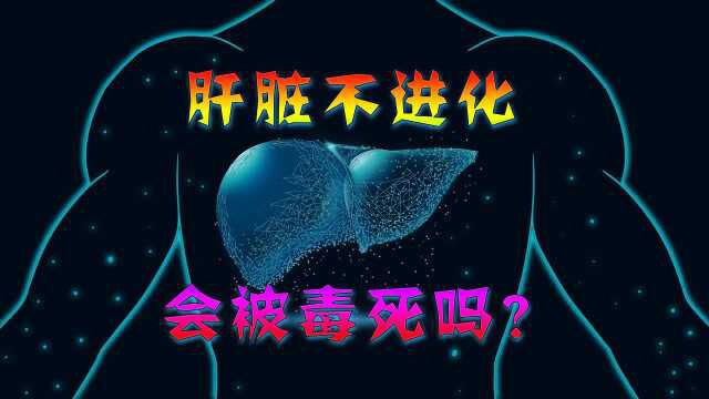 中医:肝脏晚上11点排毒,西医:那其他时间点不用排毒了吗?