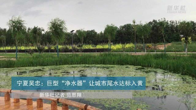 宁夏吴忠:巨型“净水器”让城市尾水达标入黄