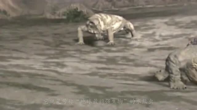 地球最顽强生物是什么?可达到永生的境界?