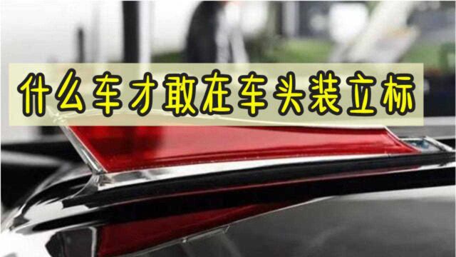 什么车才敢在车头装立标?老司机爆料:国内只有一个品牌能驾驭住