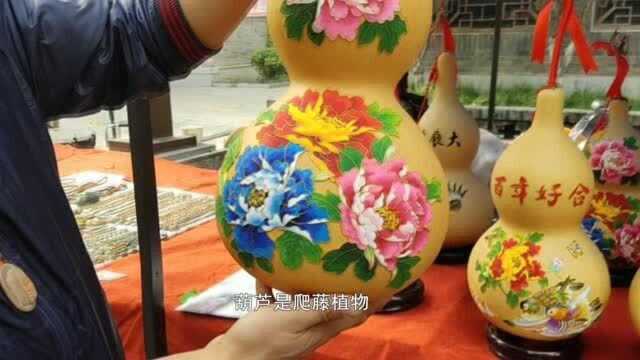 葫芦的寓意是什么,它有什么作用,涨知识了!