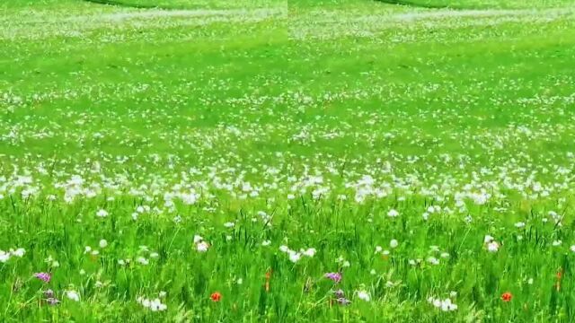 内蒙古大草原的美景、震撼及遐思!语言难以表达的美!自己感受