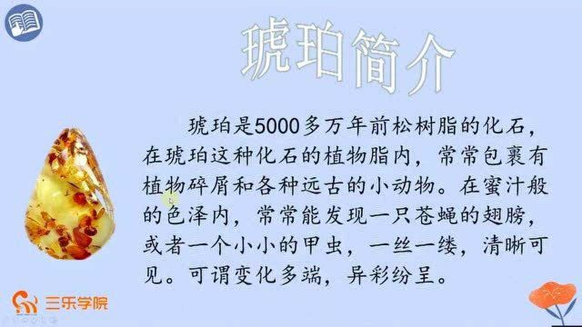 四年级下册人教部编版小学语文:《琥珀》