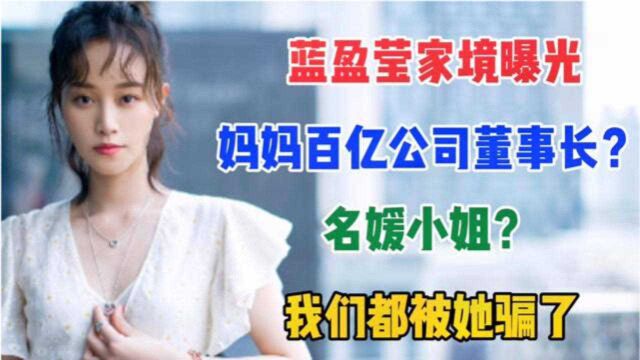 蓝盈莹家境曝光:妈妈百亿公司董事长?名媛小姐?我们都被她骗了