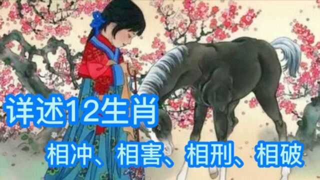 看看你属相,和哪个十二生肖相冲