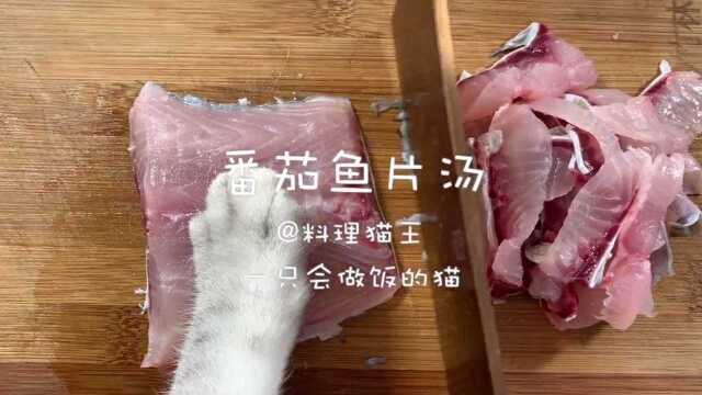 猫咪为了养活主人,被迫成为大厨,居然做出这样的美食