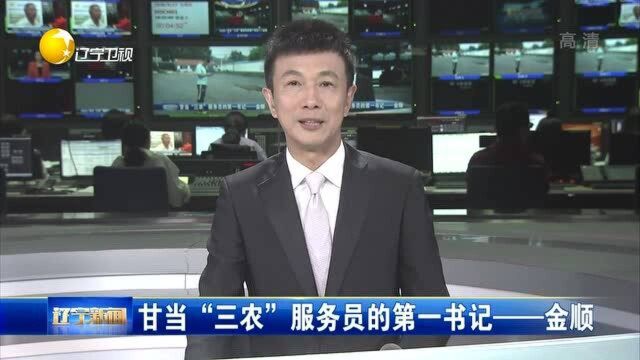 甘当“三农”服务员的第一书记——金顺