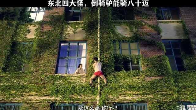 东北四大怪,倒骑驴能骑八十迈