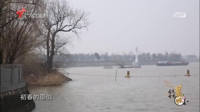 一株历经近800年沧桑的甘棠树,枝杈无风自动,皮如老鳞般肃杀