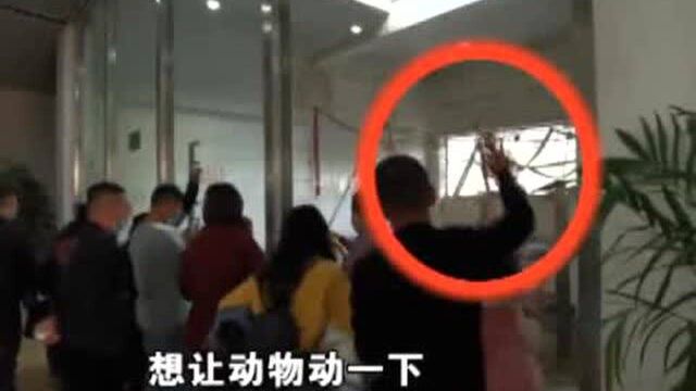 太原动物园:拒绝不文明行为!不要让你的“不经意”伤害到它们