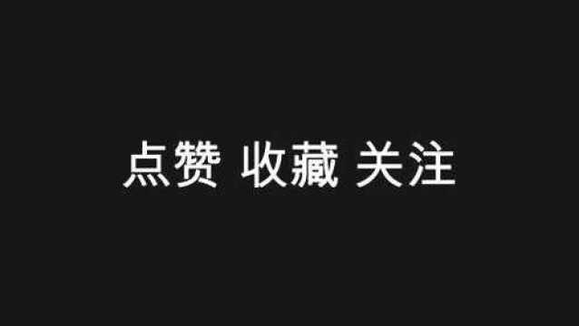 种花家:那年那兔那些事儿 第40集