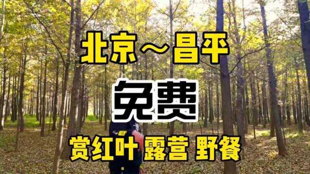 北京出现银色天堂,现场太美