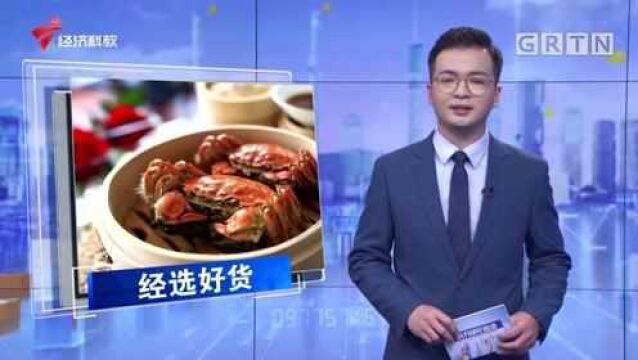 经选时间 蟹农告诉你如何挑选正宗阳澄湖大闸蟹