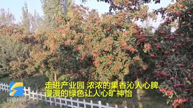 43秒丨滨州沾化区九牛牧业走循环发展之路 300多名贫困群众受益