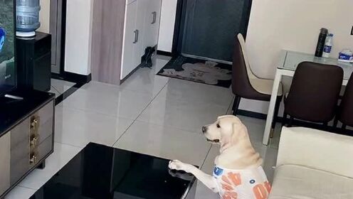 Thumbplayer Poster Plugin Image