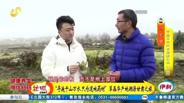 “寻遍千山万水 只为道地药材”草晶华产地溯源甘肃之旅