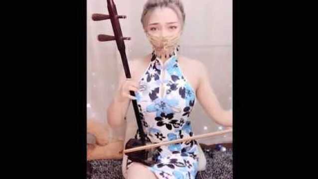 美女拉二胡,网友:旗袍配二胡,太漂亮了!